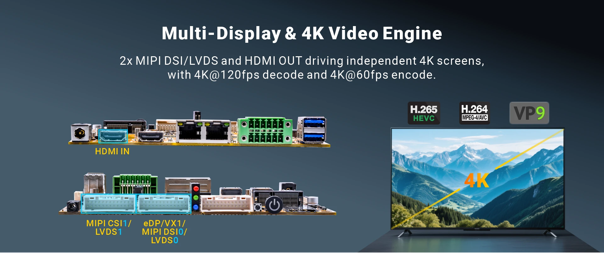 Overview_Idea311Y3_display