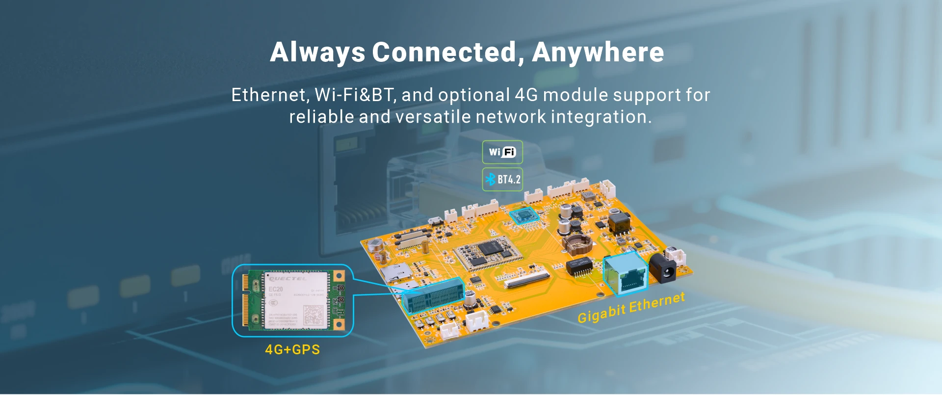 Overview_IdeaT41_network