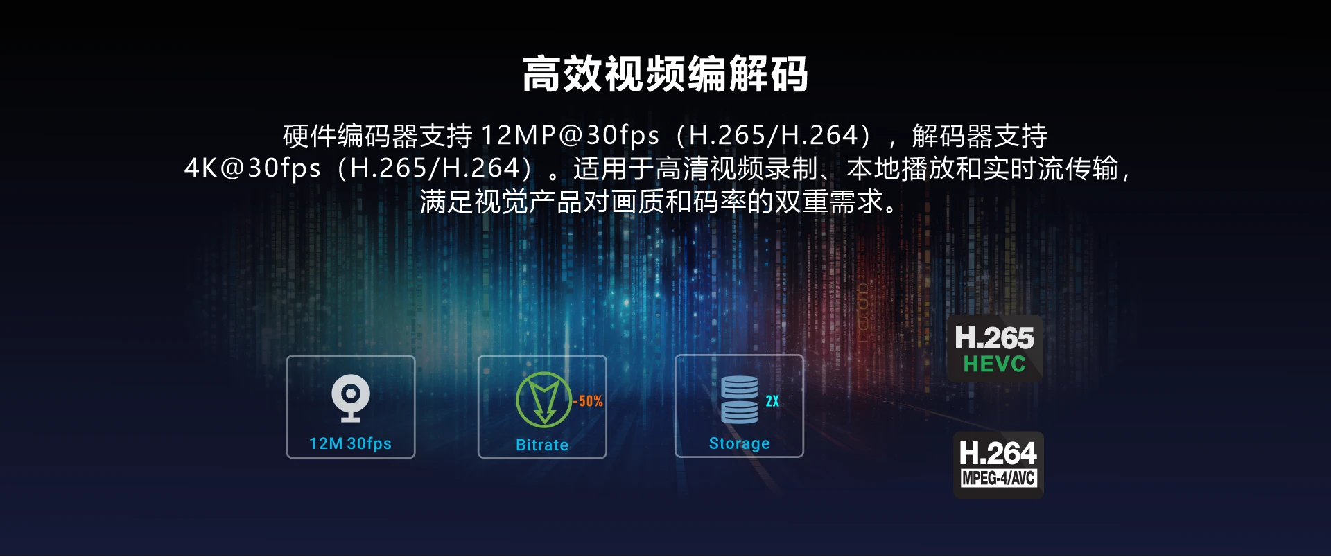 LGA1126B_multimedia